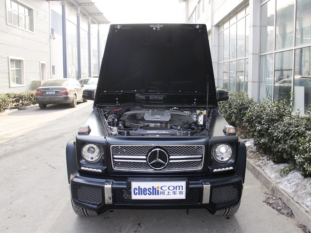 奔驰G级AMG 2013款 奔驰 G65图片