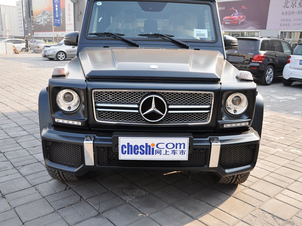 奔驰G级AMG 2013款 奔驰 G65图片