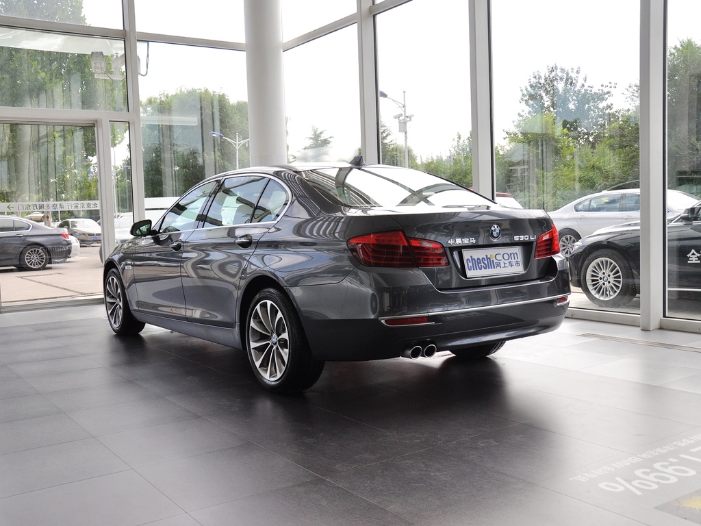 宝马5系 530Li 豪华设计套装 2014款图片