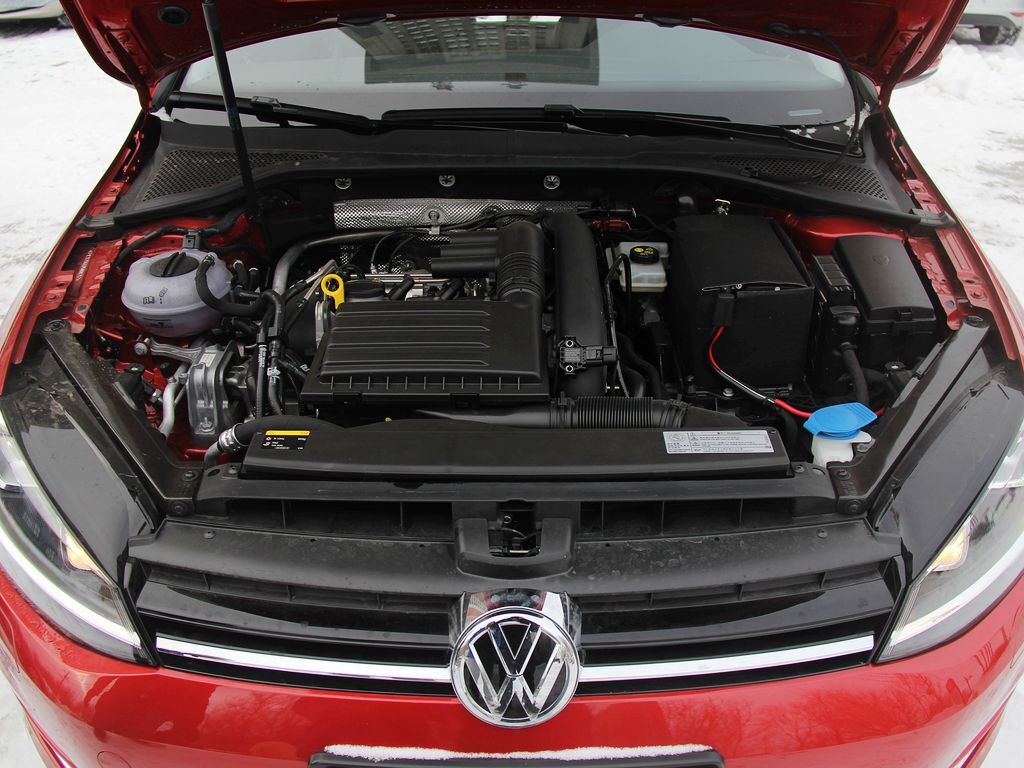 高尔夫 1.4TSI 自动 旗舰型图片