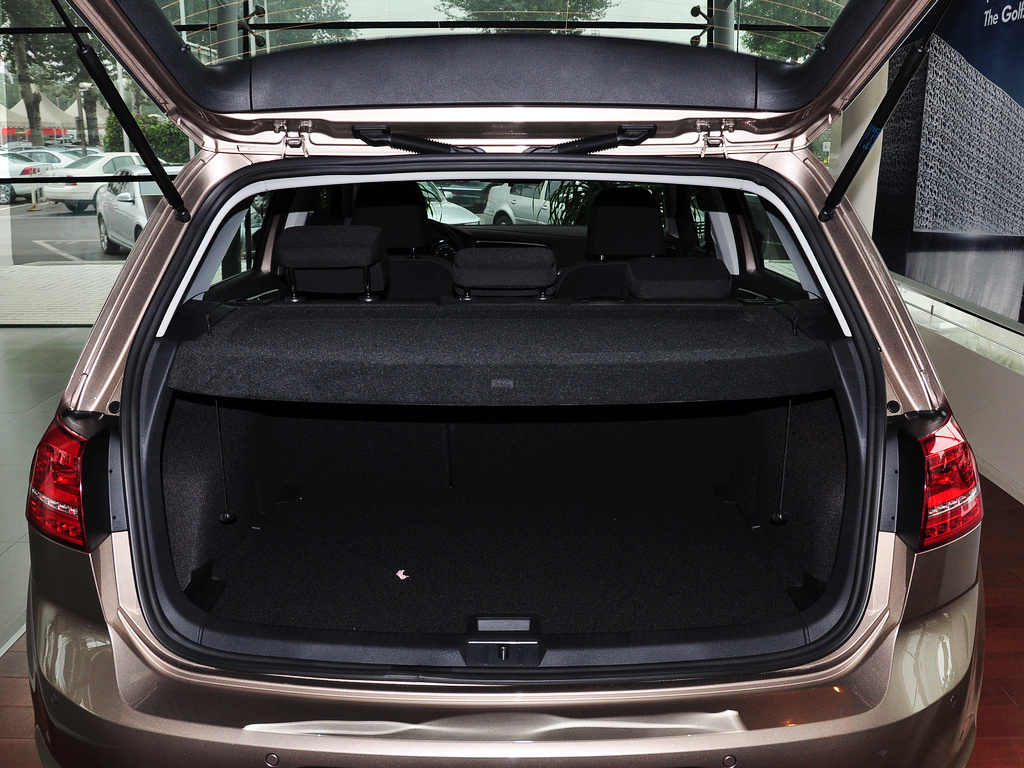 高尔夫 2015款 1.6L 自动 舒适型图片