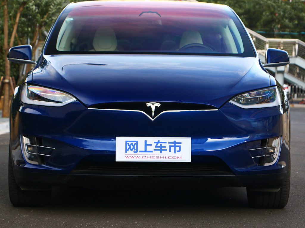 MODEL X 图片