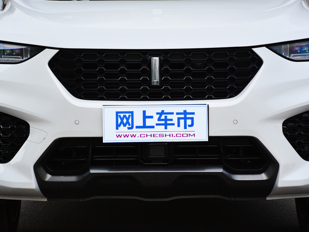 魏牌 VV7 图片