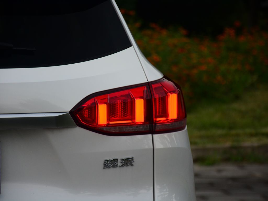魏牌 VV6 图片