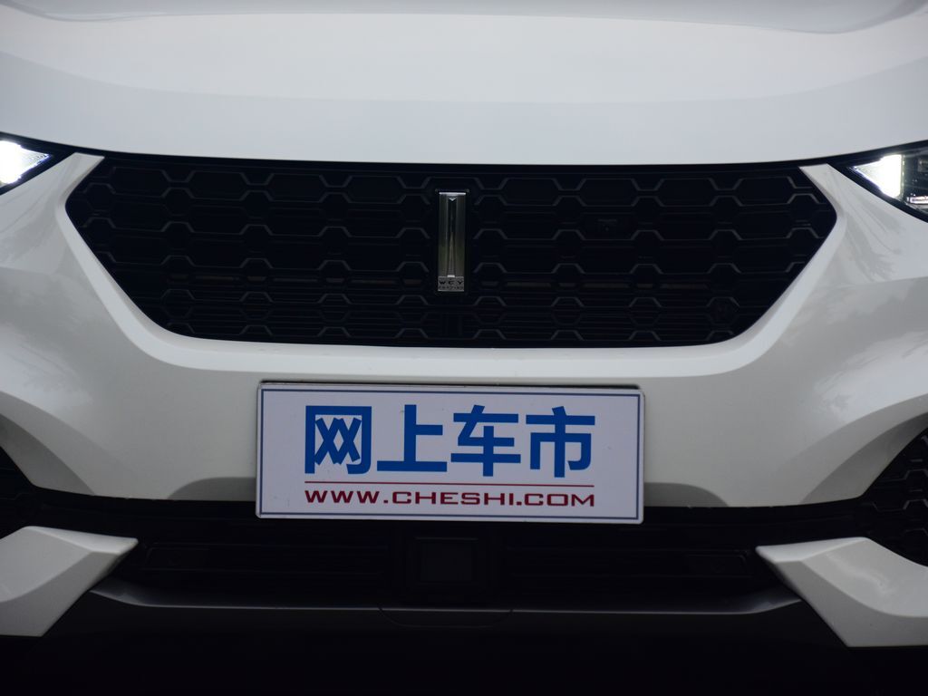 魏牌 VV6 图片