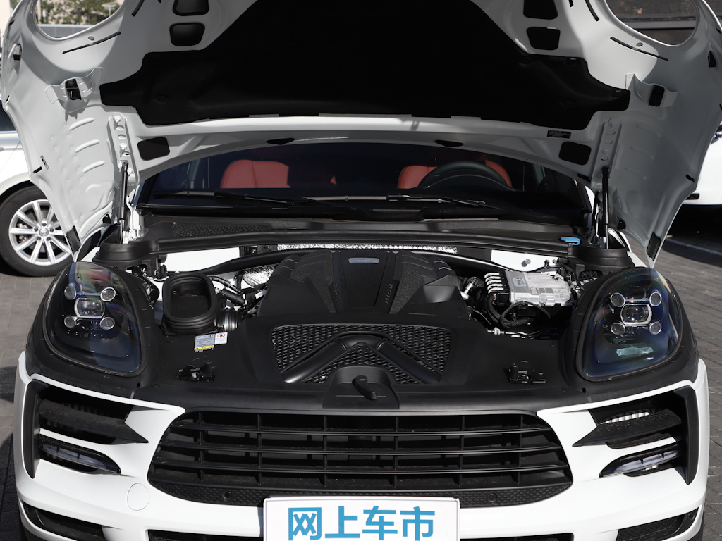 Macan 图片