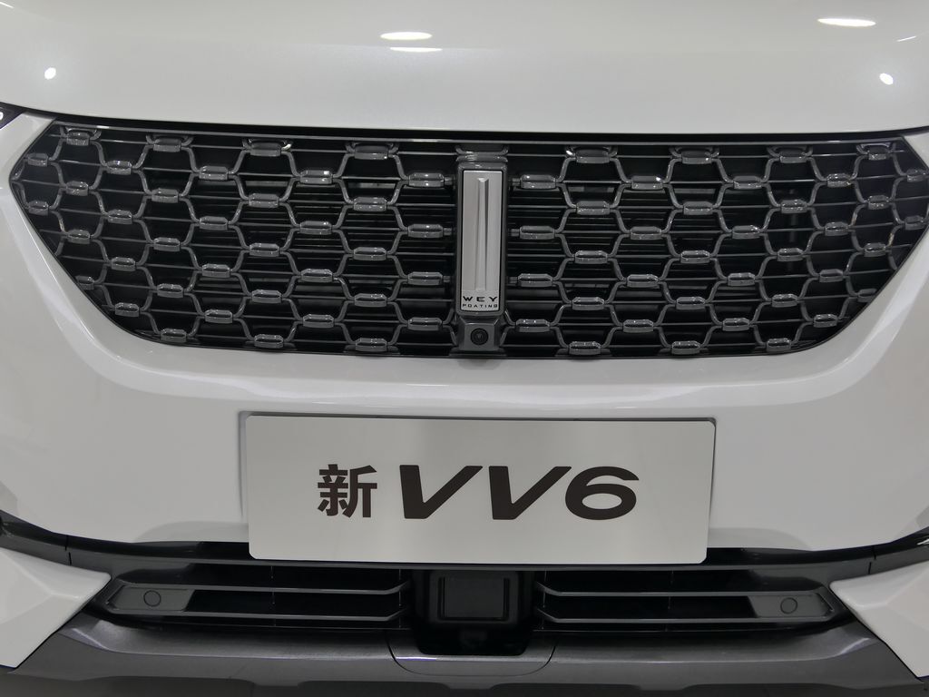 魏牌 VV6 图片