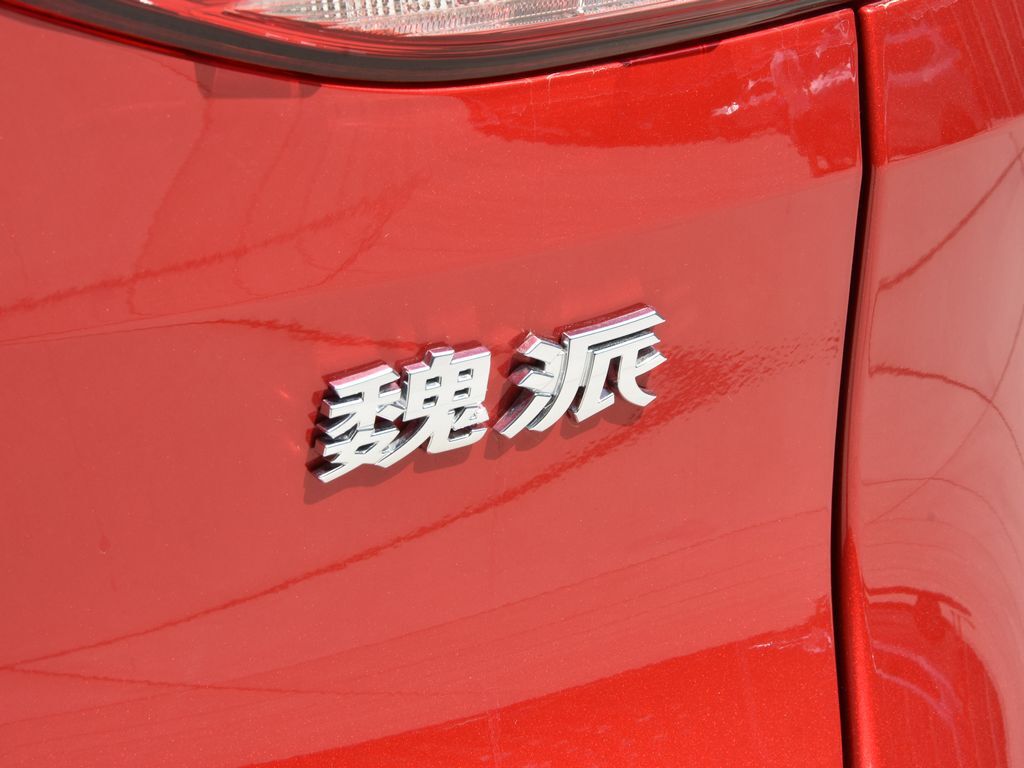魏牌 VV6 图片