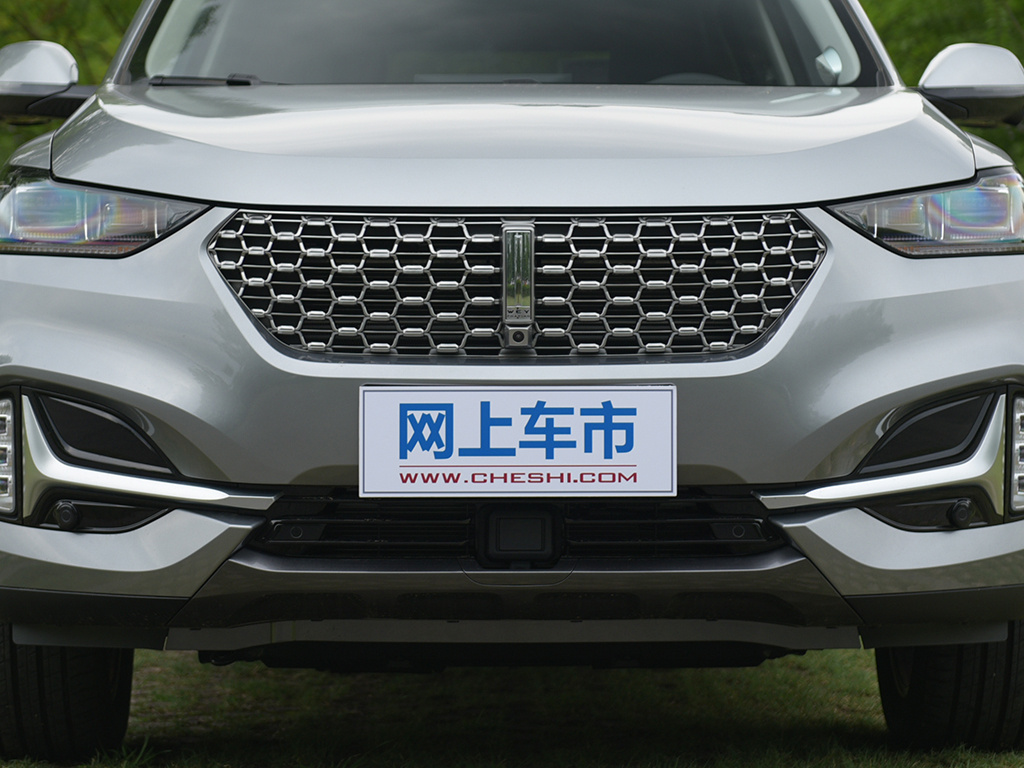 魏牌 VV6 图片