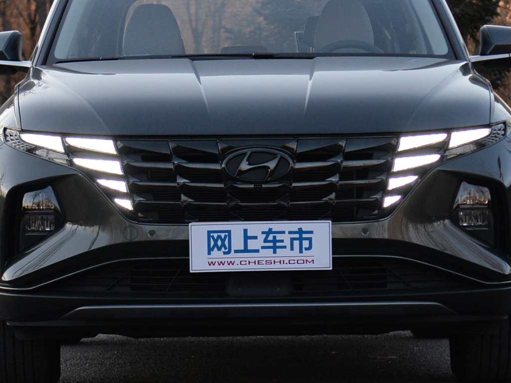 途胜L 图片