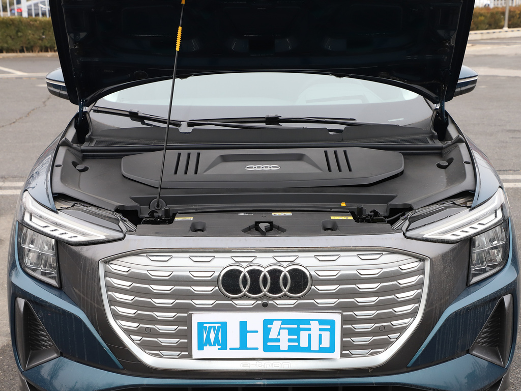 奥迪Q5 e-tron 图片