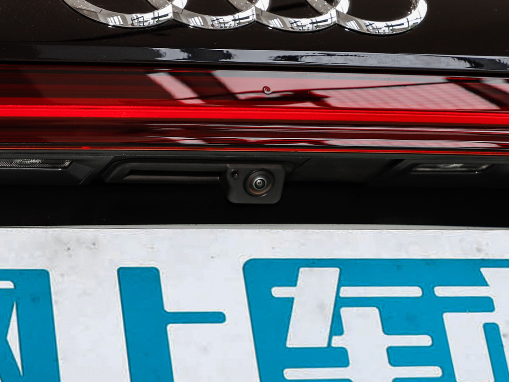 奥迪Q5 e-tron 图片
