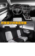 奥迪A5 奥迪(进口) A5图片
