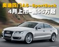 奥迪A5 奥迪(进口) A5图片
