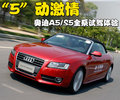 奥迪A5 奥迪(进口) A5图片