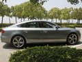奥迪A5 奥迪(进口) A5 2.0T Sportback图片