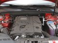 奥迪A5 奥迪(进口) A5 2.0T Cabriolet图片