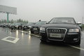 奥迪A8 奥迪(进口) A8L 2008款图片