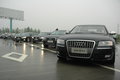奧迪A8 奧迪(進口) A8L 2008款圖片