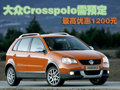 Polo 上海大众 Cross Polo图片