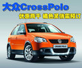Polo 上海大众 Cross Polo图片