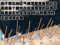 途安 上海大众 新途安图片