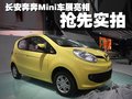 奔奔 長(zhǎng)安 奔奔 2008款圖片