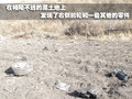 途观 上海大众 途观图片