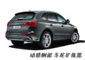 奥迪Q5(进口) 奥迪(进口) Q5图片