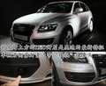 奥迪Q5(进口) 奥迪(进口) Q5图片