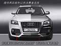 奥迪Q5(进口) 奥迪(进口) Q5图片