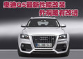 奥迪Q5(进口) 奥迪(进口) Q5图片