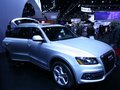 奥迪Q5(进口) 奥迪(进口) Q5图片