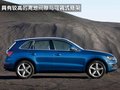 奥迪Q5(进口) 奥迪(进口) Q5图片