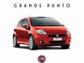 朋多 菲亚特（进口） 朋多Grande Punto 车辆风景图片