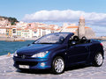 標(biāo)致206CC 標(biāo)致（進(jìn)口） 206CC 車(chē)輛風(fēng)景圖片