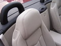 凯迪拉克 XLR 头枕 