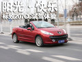 标致207(进口) 标致(进口) 207cc图片