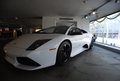 兰博基尼 Murcielago