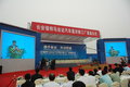 福克斯 长安福特 福克斯-三厢 2009款图片