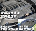 Passat 大众(进口) 帕萨特R36图片