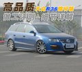 Passat 大众(进口) 帕萨特R36图片
