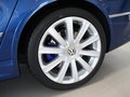 Passat 大众(进口) 帕萨特R36图片