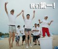 宝马3系 华晨宝马 新3系图片