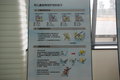轩逸 2009日产安全训练营图片