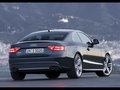 奥迪A5 奥迪(进口) S5图片