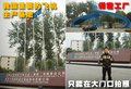 高尔夫 一汽大众 高尔夫第六代图片