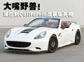 California T 法拉利 California图片