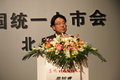 思铂睿 东风本田 思铂睿图片