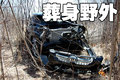 索兰托 起亚(进口) 新索兰托图片